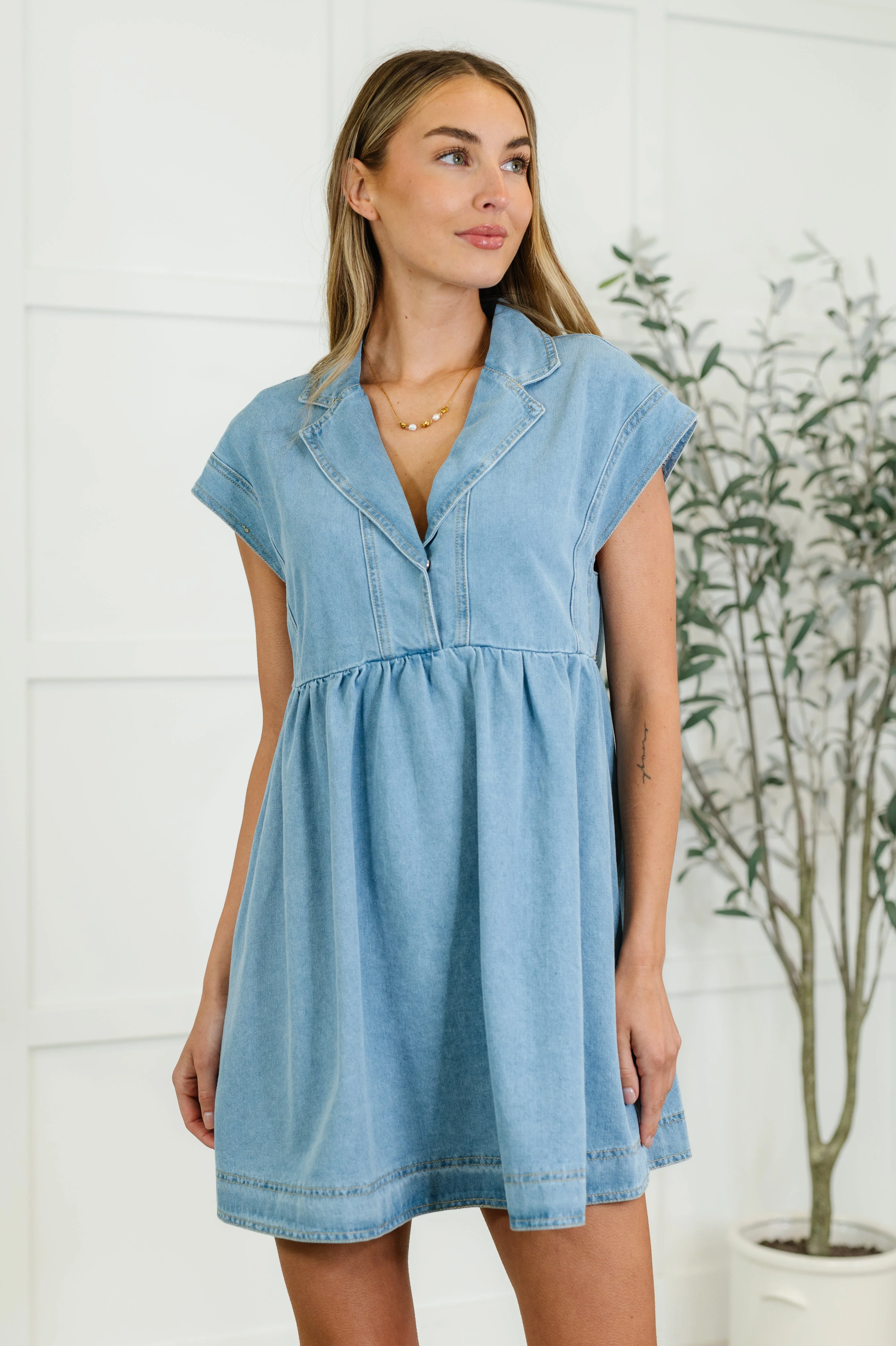 First Rodeo Denim Dress - Makeswep
